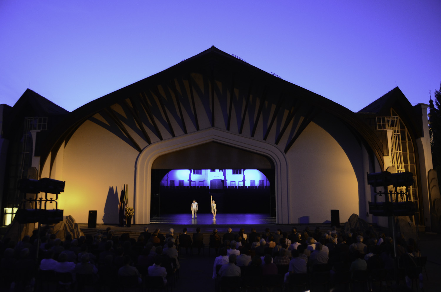 Festival Vinarium: Koncert pod zvezdami